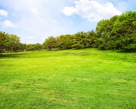 field-with-grass-and-clouds
